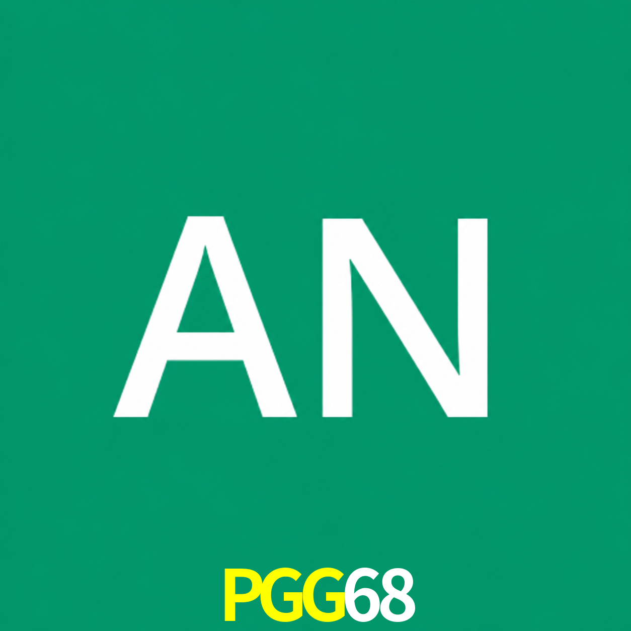 Adi Nugroho - Founder & CEO PGG68 Indonesia